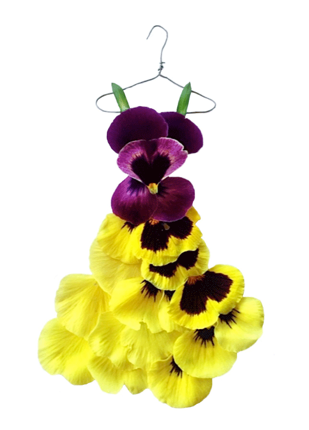 Pansy Dress