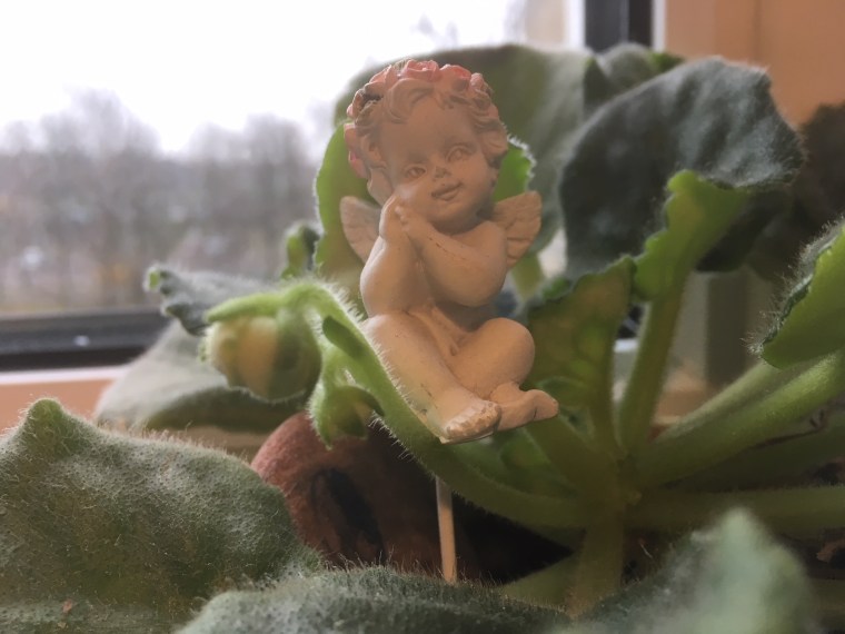 Angel of Violets.JPG